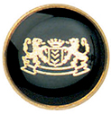 Articolo AA0384
