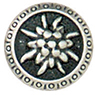 Articolo AA0446