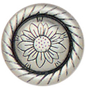 Articolo AA0455