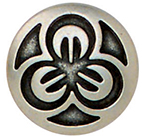 Articolo AA0919
