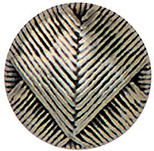 Articolo AA0981