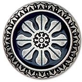 Articolo AA1029