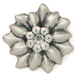Articolo AA1138