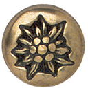 Articolo AA1139