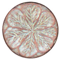 Articolo AA1202