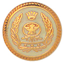 Articolo AA1241