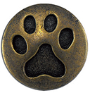 Articolo AA1248