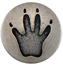 Articolo AA1249