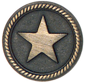 Articolo AA1319