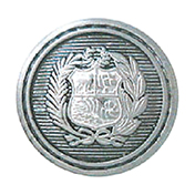 Articolo AA1443