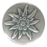 Articolo AA1469