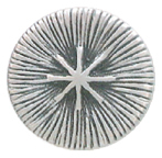 Bottoni Gambo AA1535 - Vamp