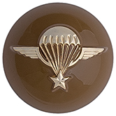 Articolo AA2154