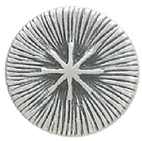 Testa Pressione / Rivetti CC0619 - Vamp