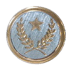 Articolo CC0676