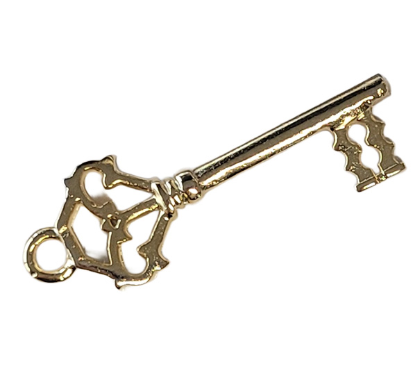 Articolo ZPP0011