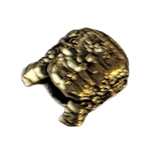 Articolo ZPP0013