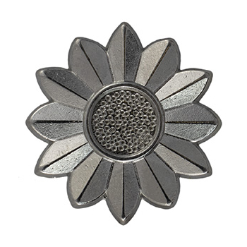 imgp-CF197825.jpg
